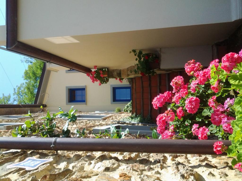 Casa Vacanze Al Settimo Cielo Масса Екстер'єр фото